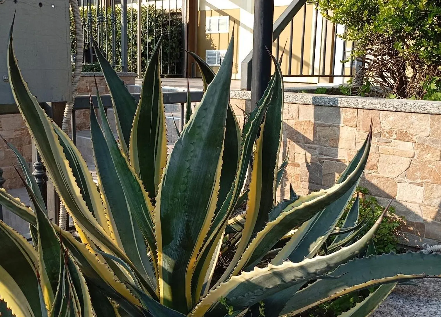 بيت ضيافة فندق La Sosta غْراسّوبيو